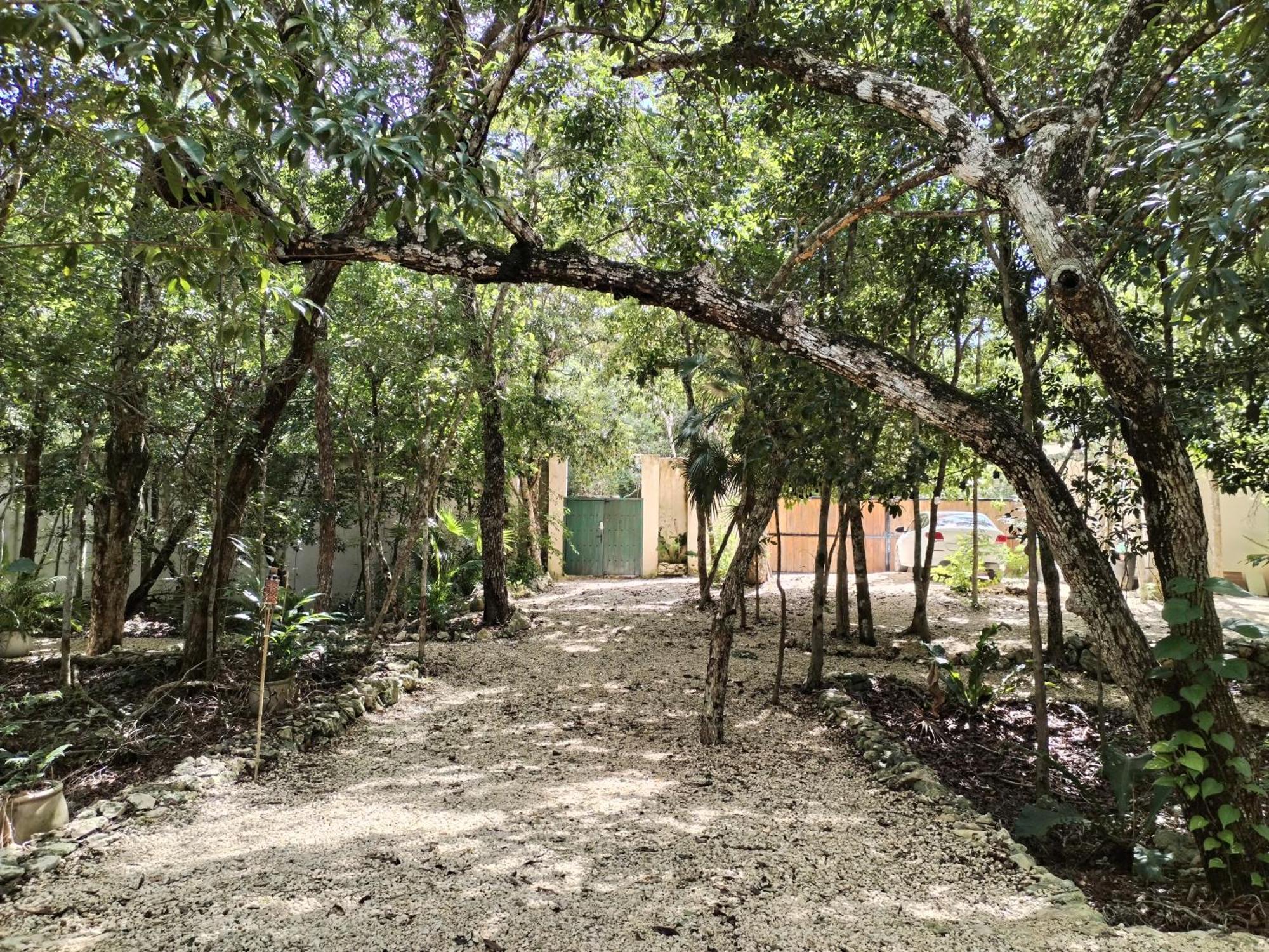 Saasil Kaax Villa Chemuyil Exterior photo